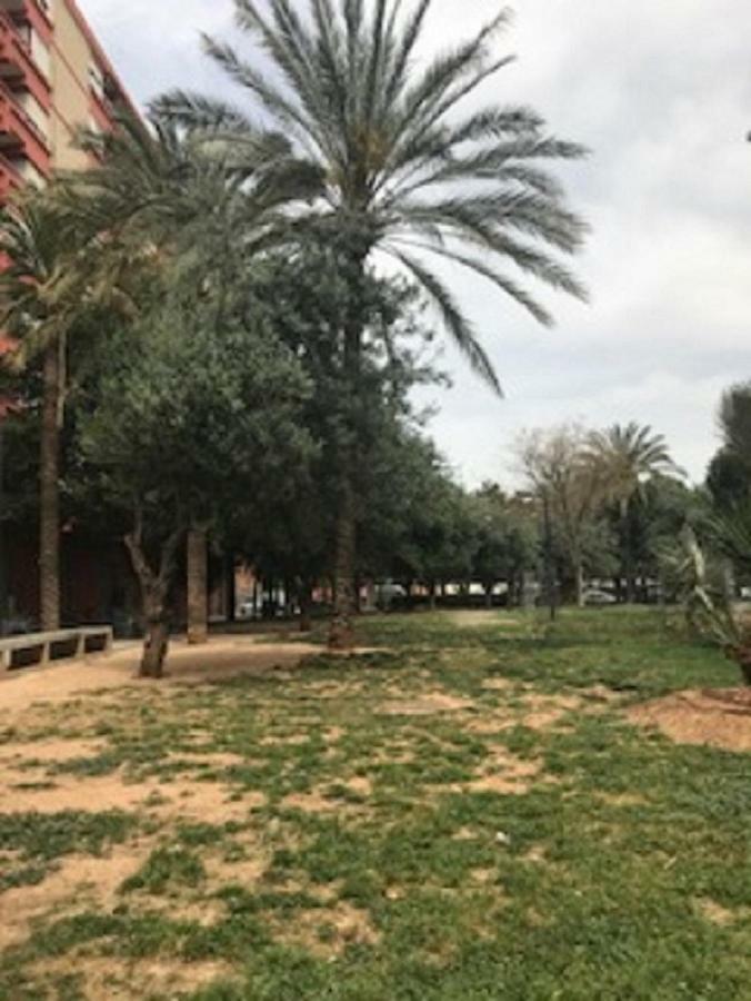 Doctor Oloriz,31,9 Valência Exterior foto